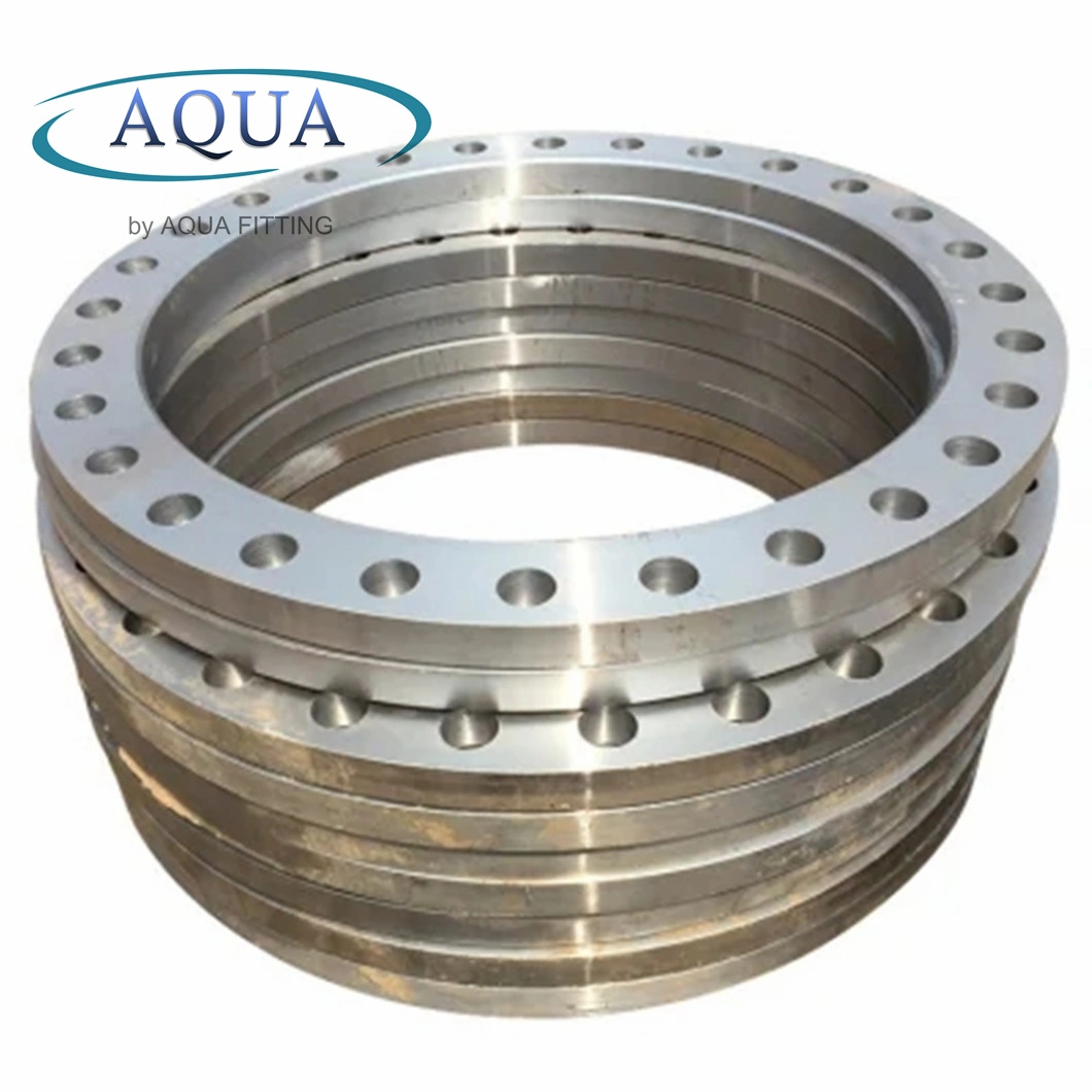 DIN Stainless Steel 304 316 4inch 8inch Thread Threaded Pipe Flange