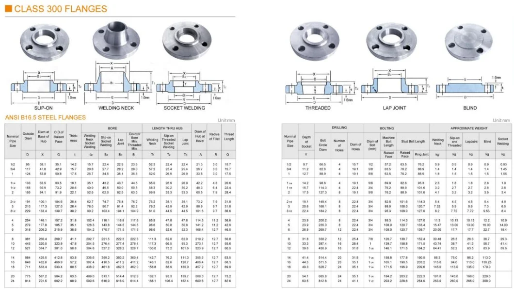 ASME B16.5 B16.47 En1092-1 En1092-3 Stainless Steel or Carbon Steel Flange Made in China