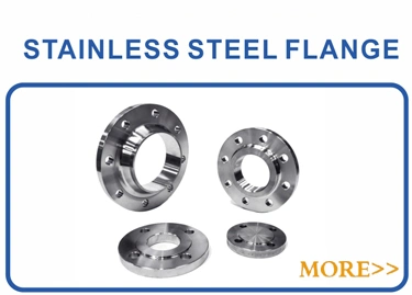 Stainless Steel ANSI B16.5 Forged Blind Flange Class 300 Lap Joint Loose Flange